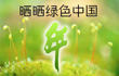 晒晒绿色中国年